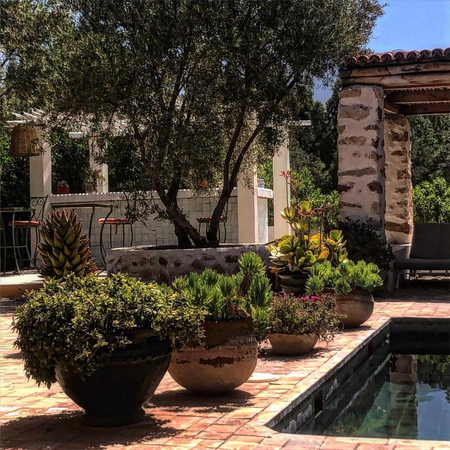 Sel D Ailleurs, Atlas Mountain Retreat - Adults Only Ouirgane Bagian luar foto