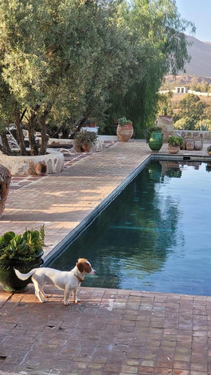 Sel D Ailleurs, Atlas Mountain Retreat - Adults Only Ouirgane Bagian luar foto