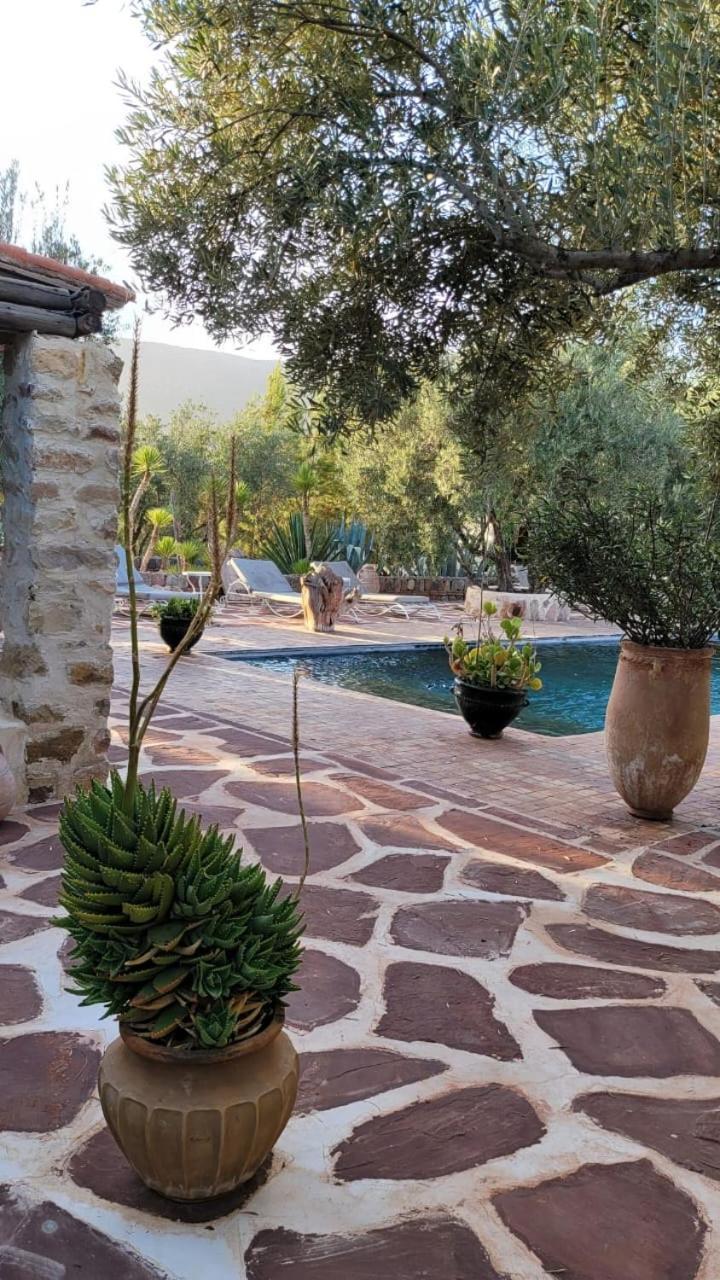 Sel D Ailleurs, Atlas Mountain Retreat - Adults Only Ouirgane Bagian luar foto