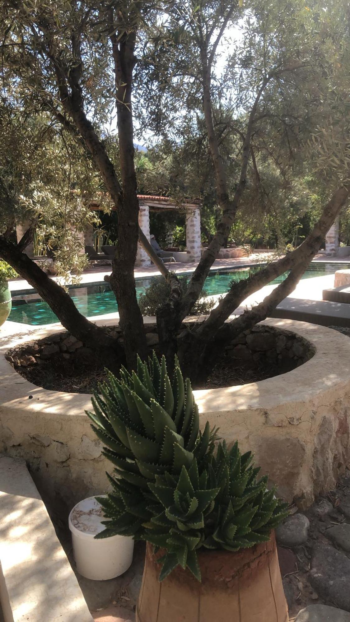 Sel D Ailleurs, Atlas Mountain Retreat - Adults Only Ouirgane Bagian luar foto