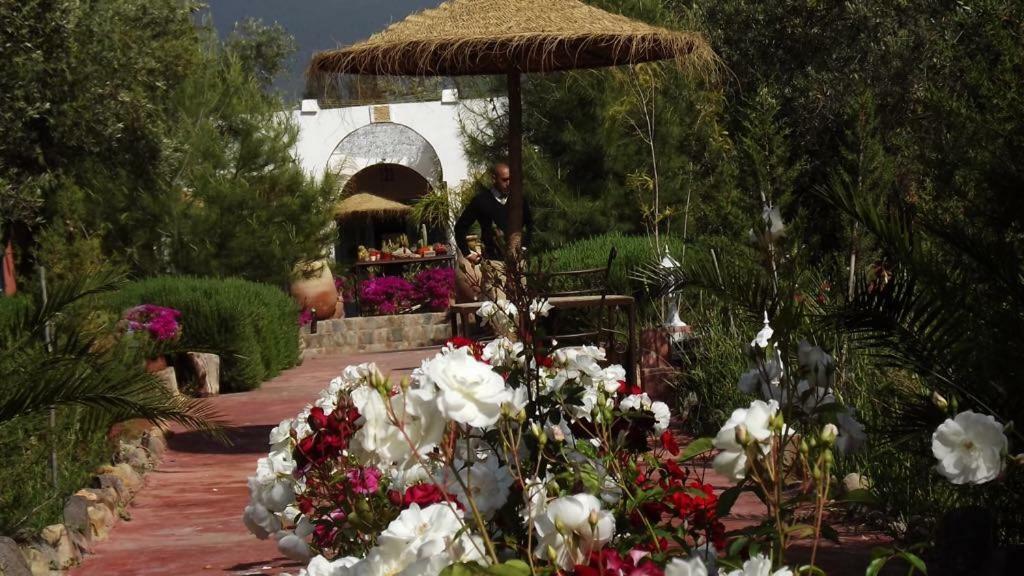 Sel D Ailleurs, Atlas Mountain Retreat - Adults Only Ouirgane Bagian luar foto