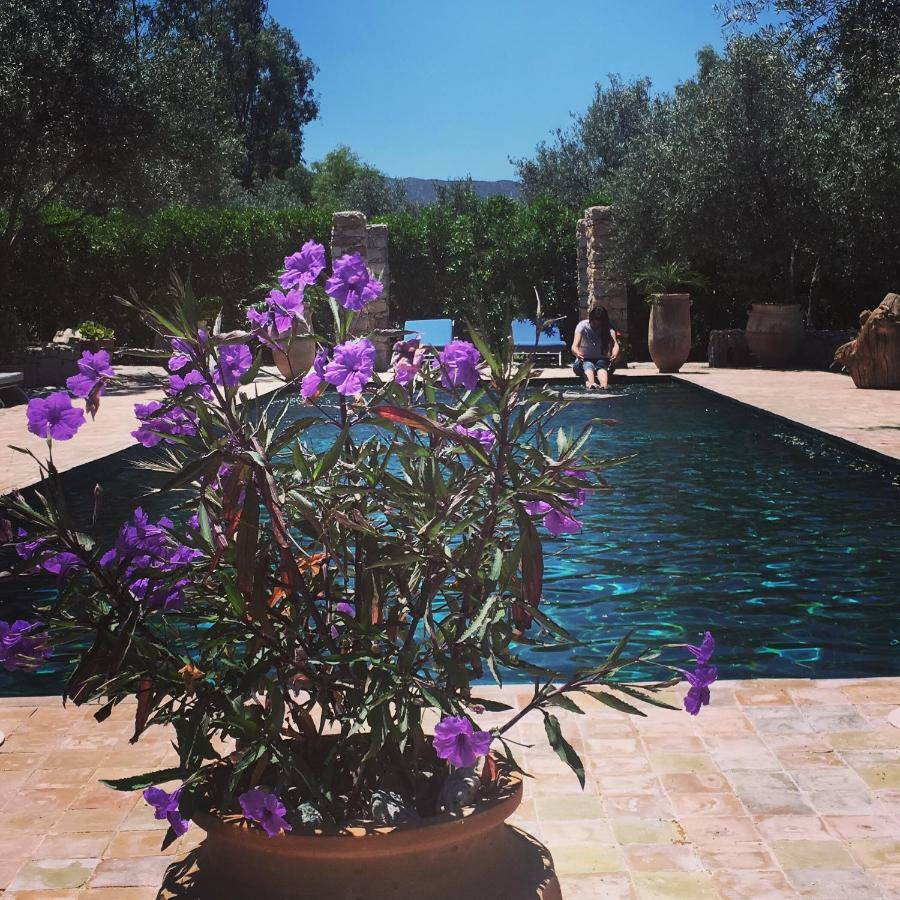 Sel D Ailleurs, Atlas Mountain Retreat - Adults Only Ouirgane Bagian luar foto